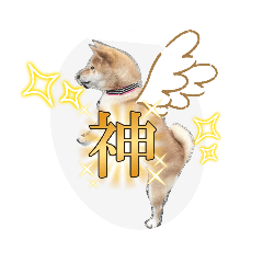 akiko_20241230210136