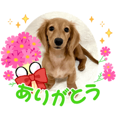 yukie_20241230210632