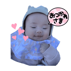 momo_20241230194414