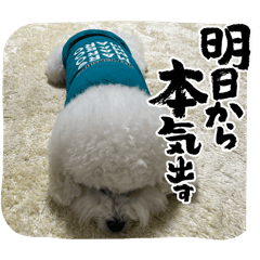 Miki_20241230225047