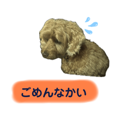 Kathy_20241231002218