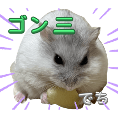 KINAKO_20241230214321