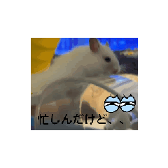 Rin_20241231105253