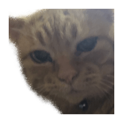 Ima_20241231014304