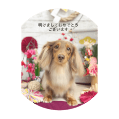 choco_20241230223229
