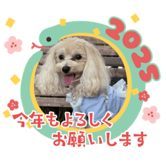 masami_20241230233606