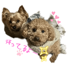 Ryoto Ishimoto_20241230235334