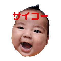 osami_20241231100856