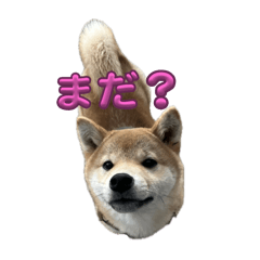 YUKI_20241231100223