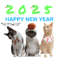 kana_20241231021503