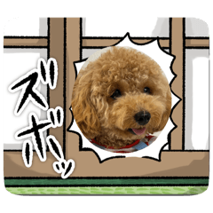 Sayuri_20241231075346