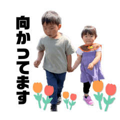 chisa_20241231111911