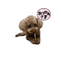 maruuuu_20241231104519