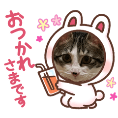 NONO_20241231115030