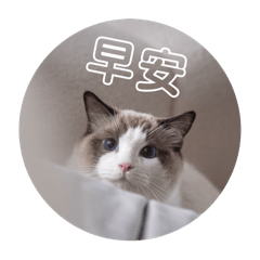 Bonnie醬⋆˖ ࣪⭑