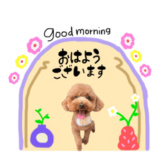 Natsuki_20241231122607