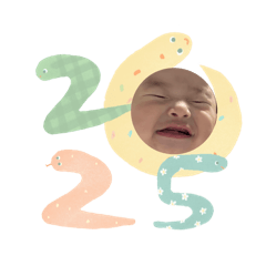 Apple_20241231135030