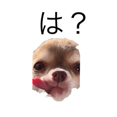 Taki_20241231142005