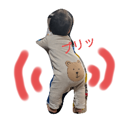 yumi_20241231143104