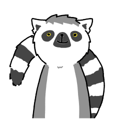 I like Ring-tailed Lemur 7