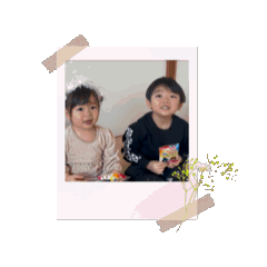 momo_20241231182221