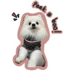 2nd collection of popcorn