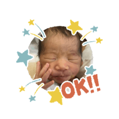 n_20241231163725