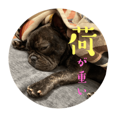 tono_20241231164647