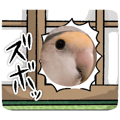 misanoaisatu