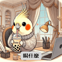 Cockatiel_Mochi_Office 1