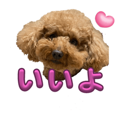 Mii_20241231184720
