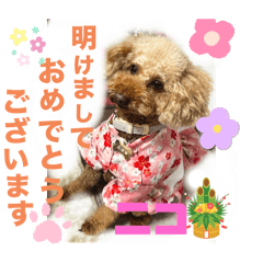 SAYURI_20250101090849