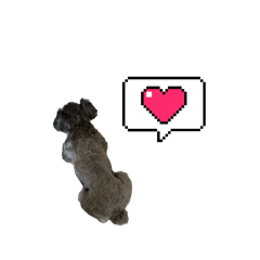 Don_20241231183047