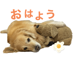 Nico_20241231183211