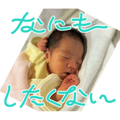 nono_20241231200215