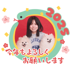 YUMI_20241231204409