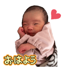 kana_20241231180342
