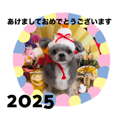 seina_20241231222417