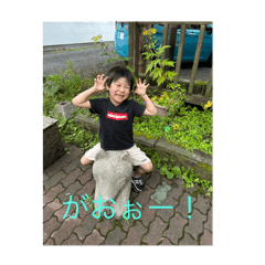 kaku_stampe