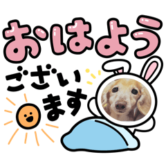 maki_20241231195233