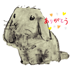 Momo_20241231215140
