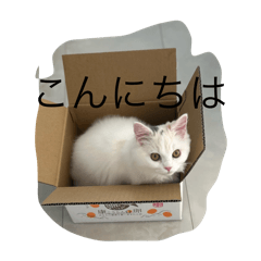 MAKI_20241231233657