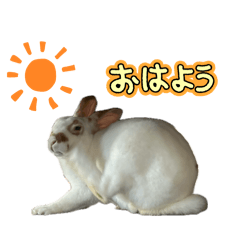 momo_20250101005728