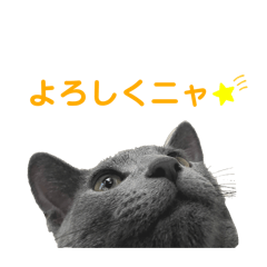 Heel of bread_20241231223901