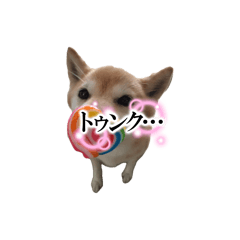 mia_20250101021911