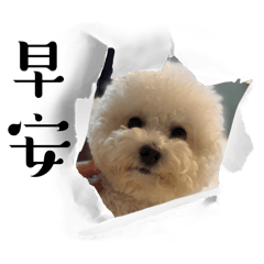 哎喲是我
