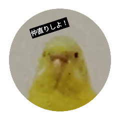 totorogaii