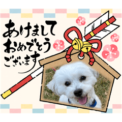 Akiko_20241231232017