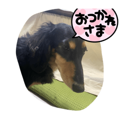 mai_20250101084245