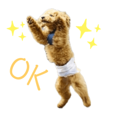 Ryoto Ishimoto_20250101001149